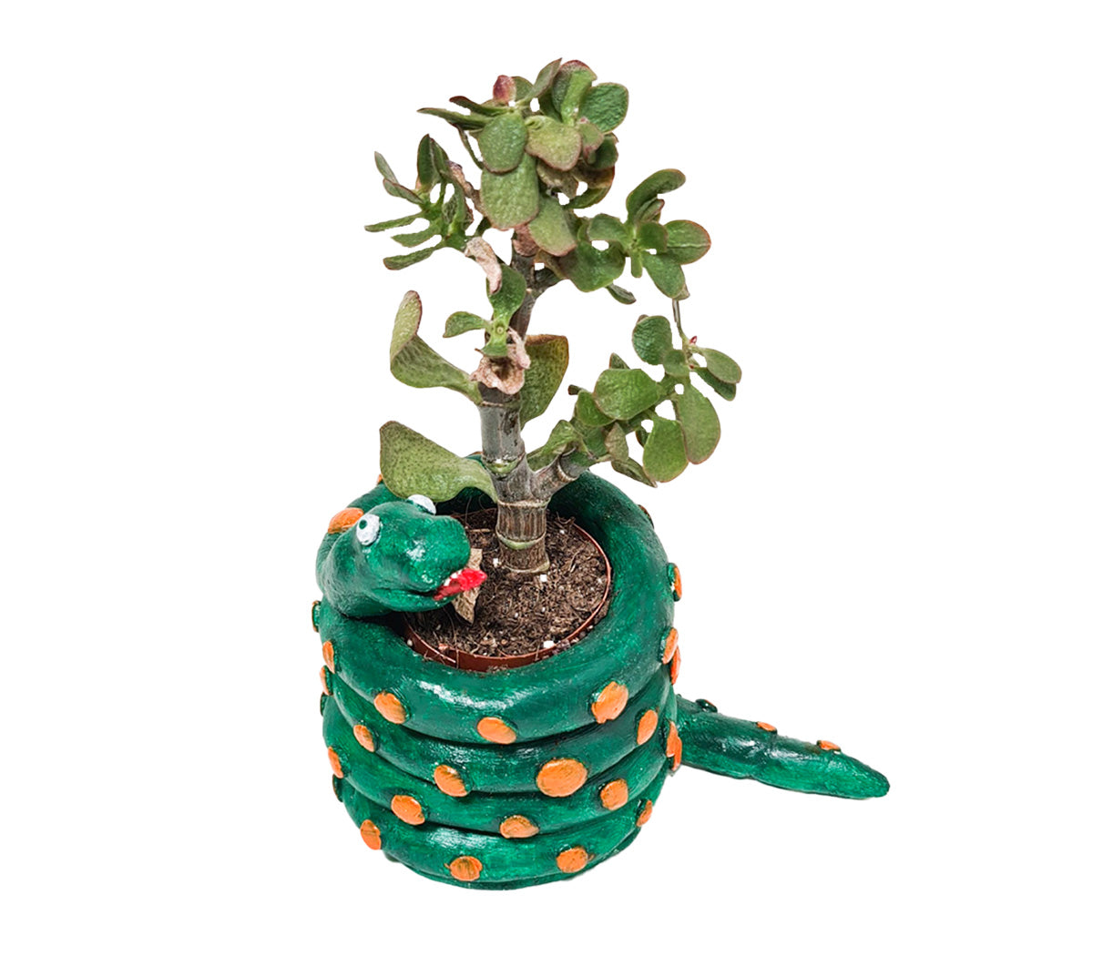 A handmade snake-shaped clay planter, painted green with orange spots, wrapped around a small potted plant made from Sculpd Pottery Kit